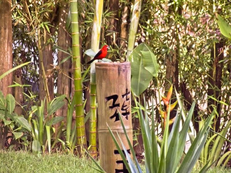 Pousada Bambu Itacaré Exteriér fotografie